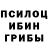 Галлюциногенные грибы Magic Shrooms paul brompton
