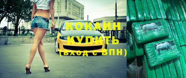 гашик Арсеньев