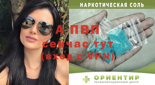 гашик Арсеньев