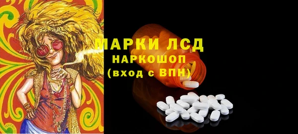 гашик Арсеньев